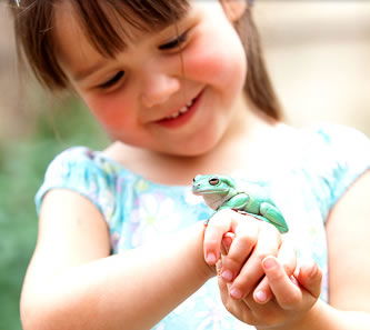 Reptile Encounters - Attractions Brisbane 1
