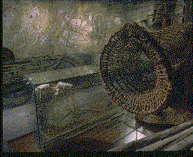 Australian Museum - Attractions Brisbane 2