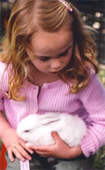 Heritage Craft Fair - Attractions Brisbane 2