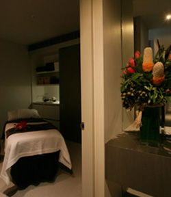Alkaline Spa & Clinic - Attractions Brisbane 0