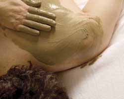 Alkaline Spa & Clinic - Attractions Brisbane 2
