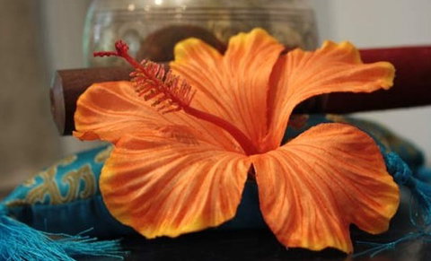 Annasha Day Spa Retreat - Attractions Brisbane 5