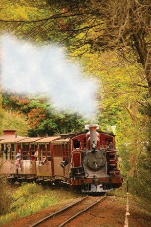 Puffing Billy - Attractions Brisbane 5