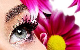 Glow Retreat - Attractions Brisbane 5