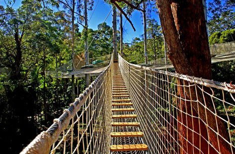 FreemanX Experience - Attractions Brisbane 2