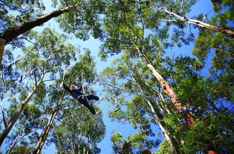 FreemanX Experience - Attractions Brisbane 5