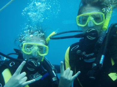 Snorkel Safari Brisbane - Attractions Brisbane 5