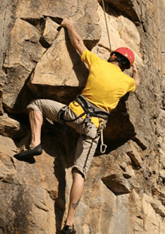 Adventures Around Brisbane - Attractions Brisbane 3