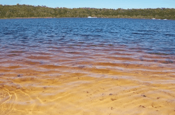 Beach Trekkers North Stradbroke Island - Attractions Brisbane 1