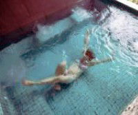 Spa Country - Attractions Brisbane 4