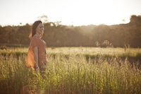 Book Beechworth Accommodation Vacations Attractions Brisbane Attractions Brisbane