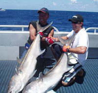 Blue Juice Charters - Attractions Brisbane