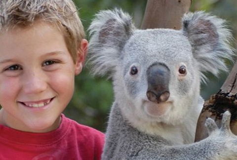 Featherdale Wildlife Park - Attractions Brisbane 1