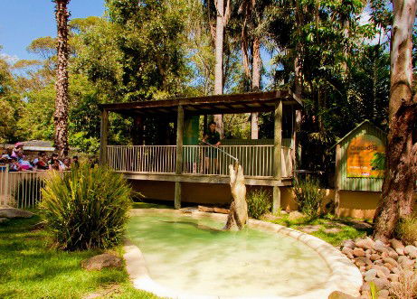 Featherdale Wildlife Park - Attractions Brisbane 2