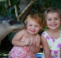 Dolphin Marine Magic - Attractions Brisbane