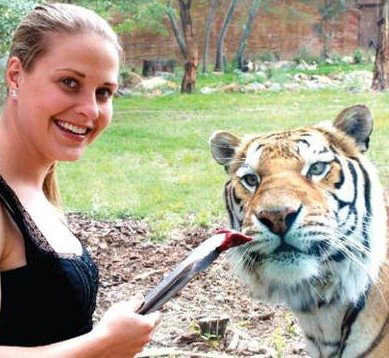 National Zoo & Aquarium - Attractions Brisbane 4