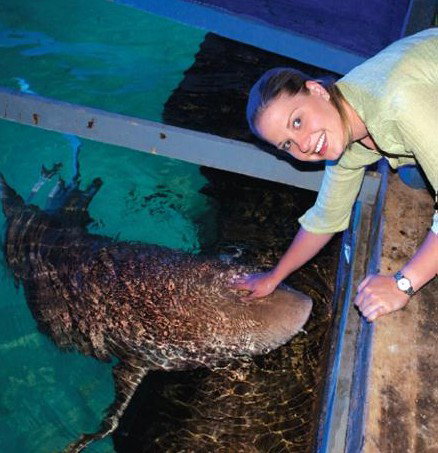 National Zoo & Aquarium - Attractions Brisbane 7