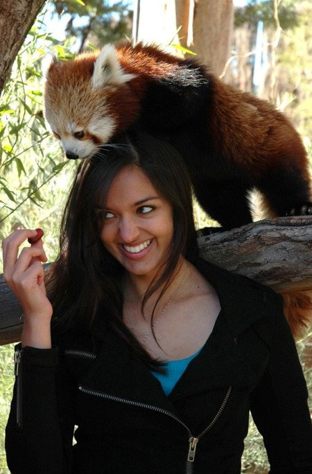 National Zoo & Aquarium - Attractions Brisbane 8