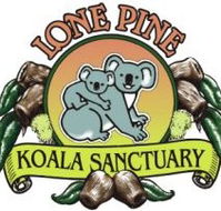 Lone Pine Koala Sanctuary - Attractions Brisbane