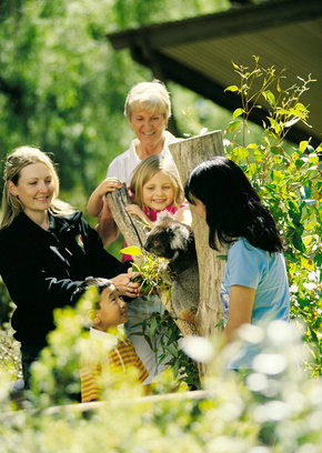 Cleland Wildlife Park - Attractions Brisbane 5