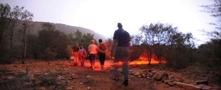 Alice Springs Desert Park - Attractions Brisbane 4