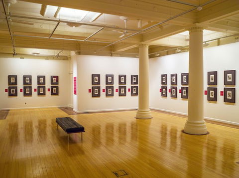Cairns Regional Gallery - Attractions Brisbane 2