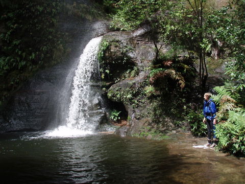 Blue Mountains Adventure Company - Attractions Brisbane 1