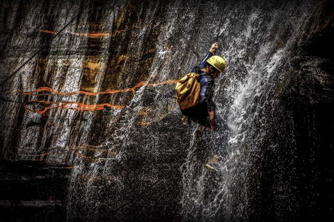 Blue Mountains Adventure Company - Attractions Brisbane 2