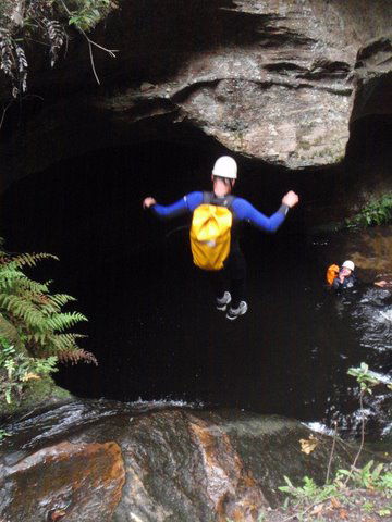 Blue Mountains Adventure Company - Attractions Brisbane 6