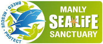Manly SEA LIFE Sanctuary - Attractions Brisbane 0
