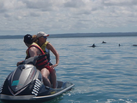 Aquavue Cafe Watersports - Attractions Brisbane 5