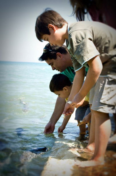 Aquascene Fish Feeding Sanctuary - Attractions Brisbane 3