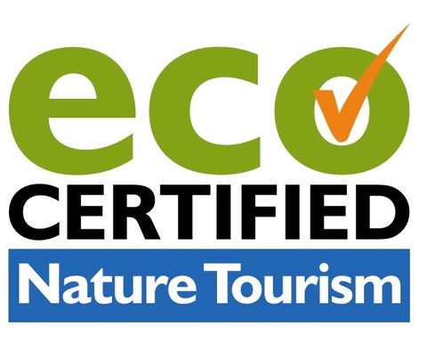 Aquascene Fish Feeding Sanctuary - Attractions Brisbane 4