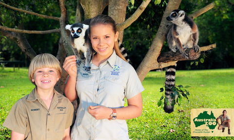 Australia Zoo - Attractions Brisbane 2