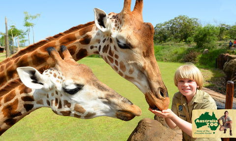 Australia Zoo - Attractions Brisbane 4