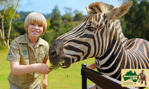 Australia Zoo - Attractions Brisbane 5