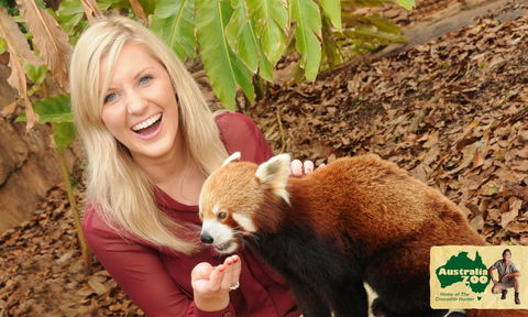 Australia Zoo - Attractions Brisbane 7