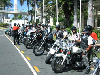 Wildfire Tours - Attractions Brisbane 1