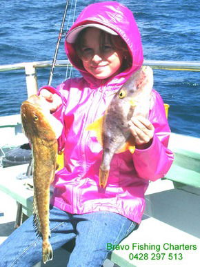Bravo Fishing Charters - Attractions Brisbane 5