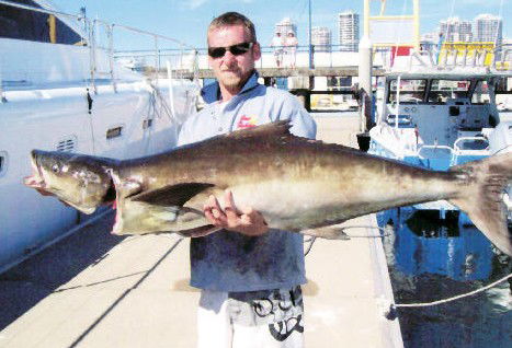 True Blue Fishing Charters - Attractions Brisbane 0