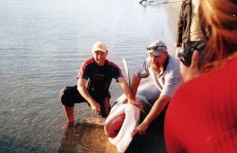 True Blue Fishing Charters - Attractions Brisbane 1