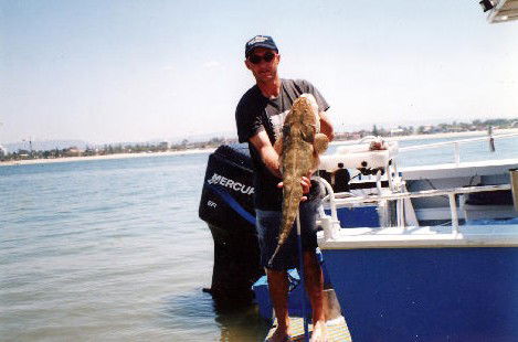 True Blue Fishing Charters - Attractions Brisbane 2