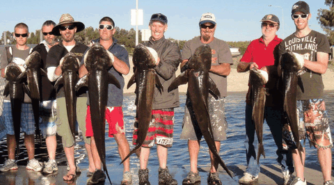 BKs Gold Coast Fishing Charters - Attractions Brisbane 1