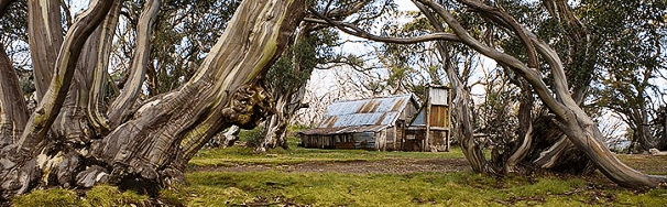 High Country Scenic Tours - Attractions Brisbane