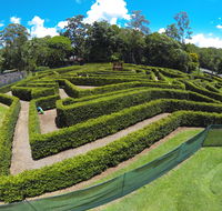 Bellingham Maze - Attractions Brisbane