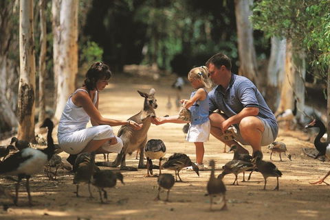 Billabong Sanctuary - Attractions Brisbane 0