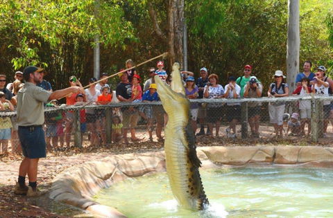 Billabong Sanctuary - Attractions Brisbane 2