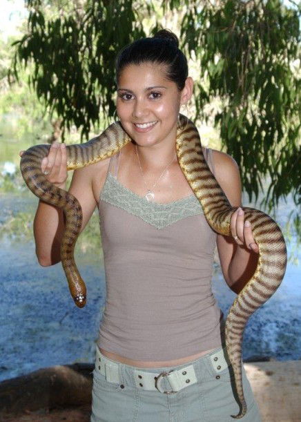 Billabong Sanctuary - Attractions Brisbane 4