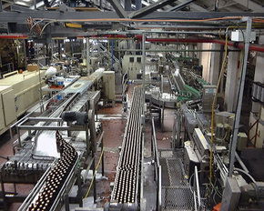 Cascade Brewery Tour - Attractions Brisbane 2
