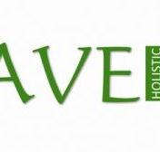Agave Holistic Day Spa  Beauty - Attractions Brisbane